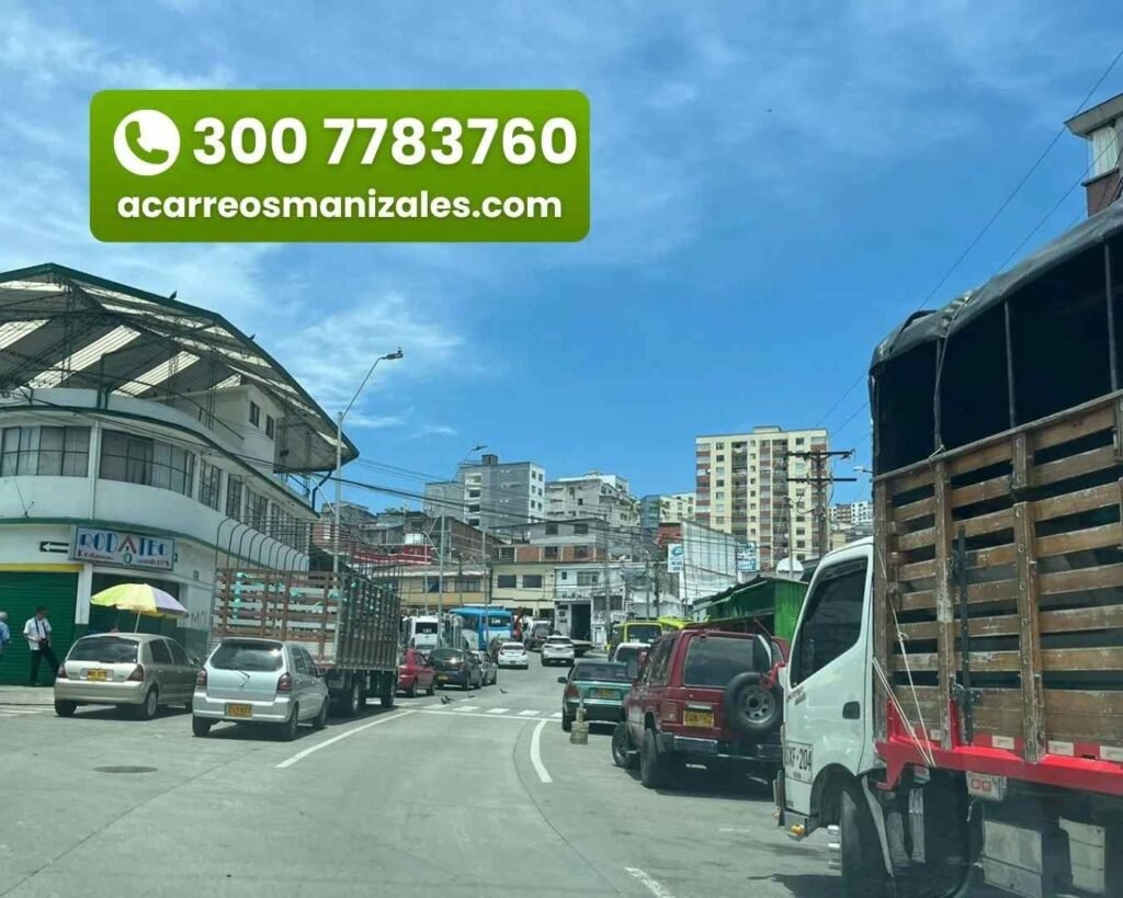 servicio de trasteos